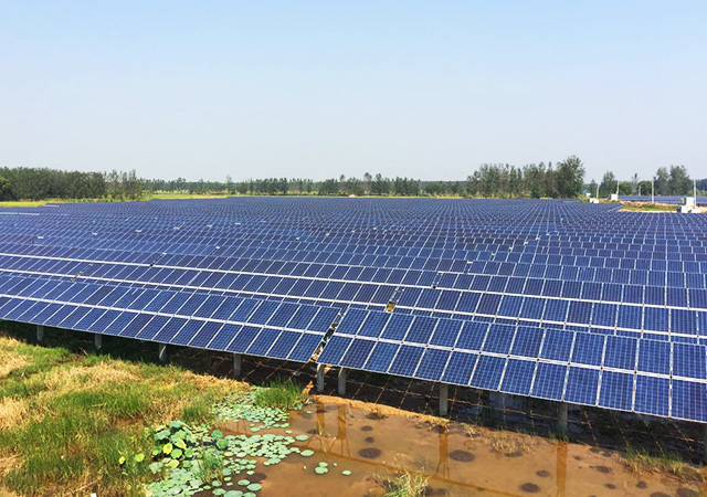 pgͽŮ(ٷ)IOS/׿/ֻAPP