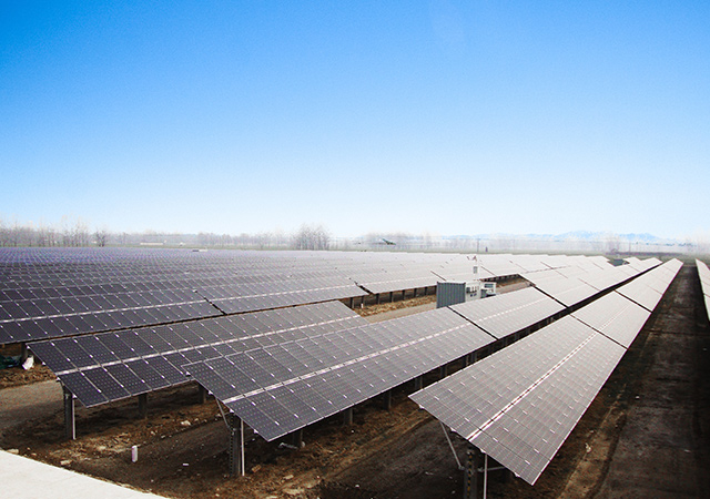 pgͽŮ(ٷ)IOS/׿/ֻAPP