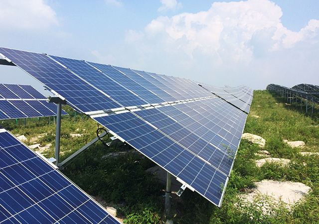 pgͽŮ(ٷ)IOS/׿/ֻAPP