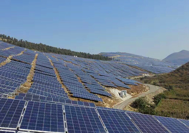 pgͽŮ(ٷ)IOS/׿/ֻAPP