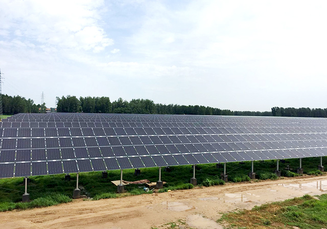 pgͽŮ(ٷ)IOS/׿/ֻAPP