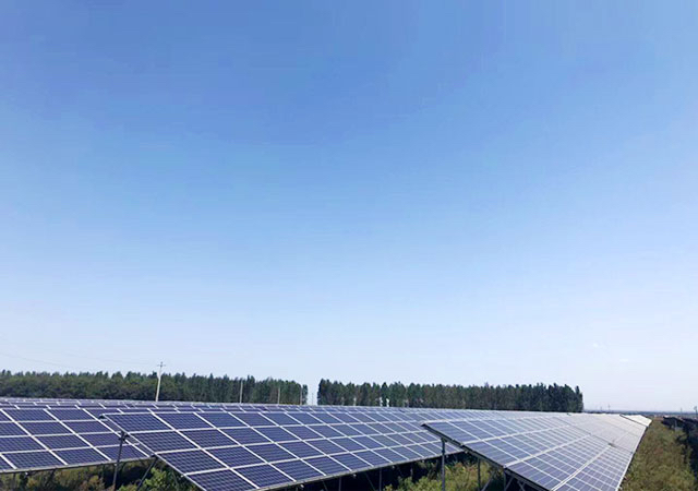 pgͽŮ(ٷ)IOS/׿/ֻAPP