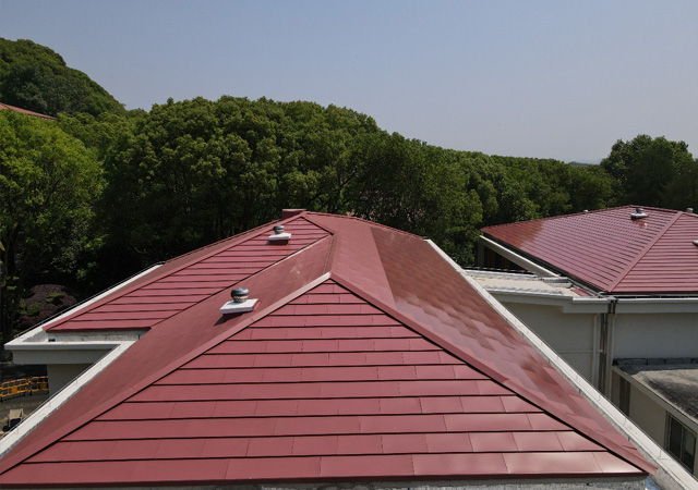 pgͽŮ(ٷ)IOS/׿/ֻAPP